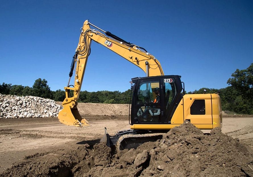 Cat 313 NY Cat 313 NY